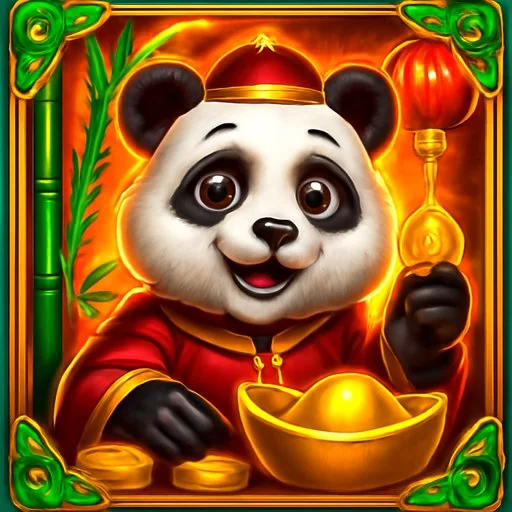 baji support chat screen